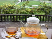 ɂ񂳂̃t@Ng[&JtF@W̓eʐ^1