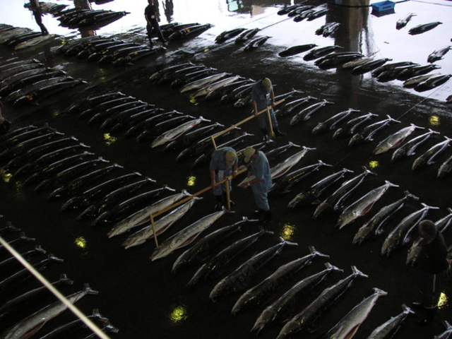 �C����s���s��