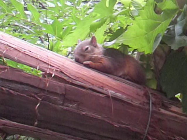 ����s��R������