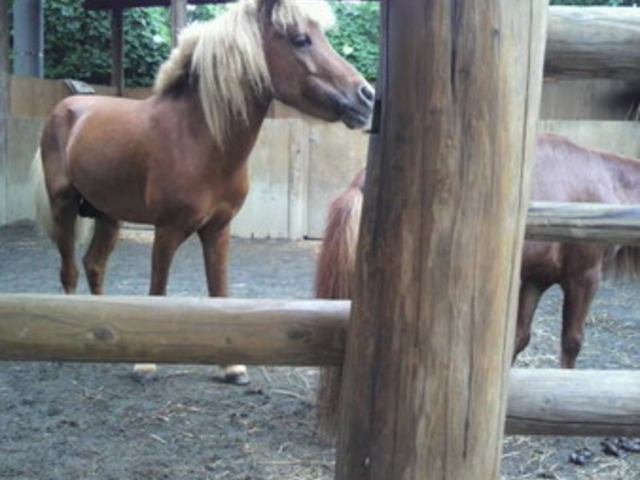 �ɍ��ۃO���[���q��