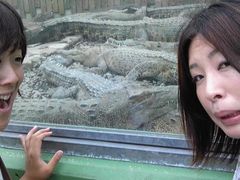 �S�R�n���̎ʐ^1