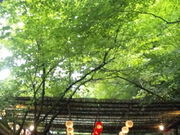 ؂񂬂񂤂̗ف@MD悵̓eʐ^1