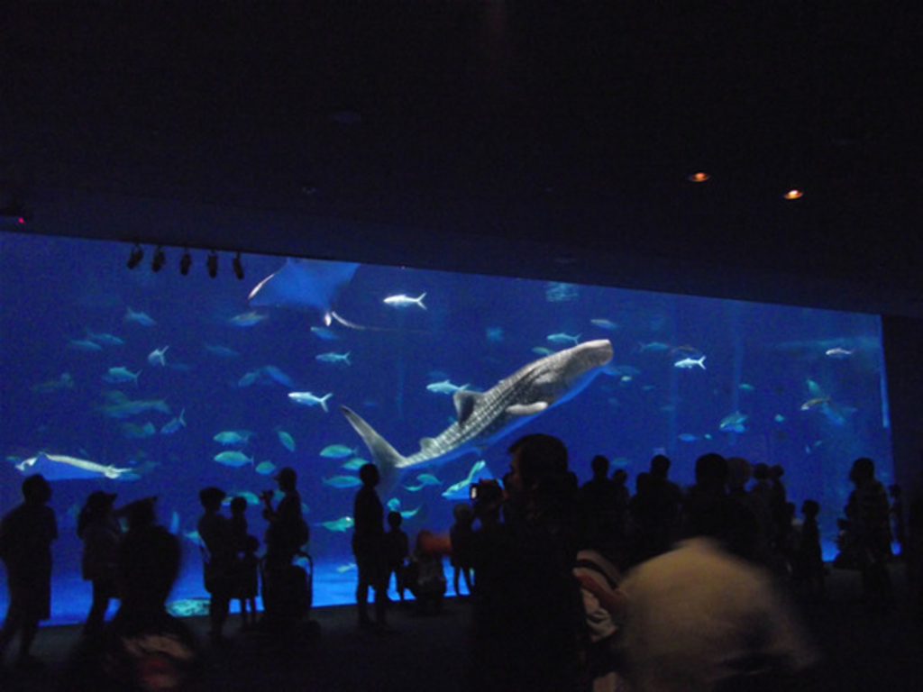 いおワールドかごしま水族館