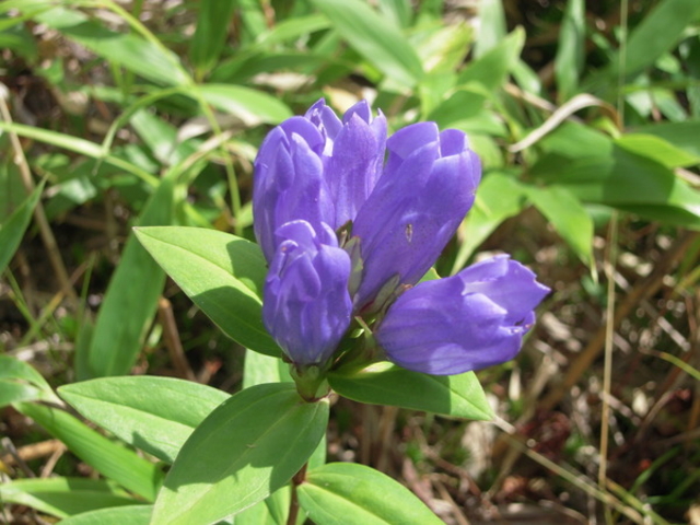 ���Ô����R