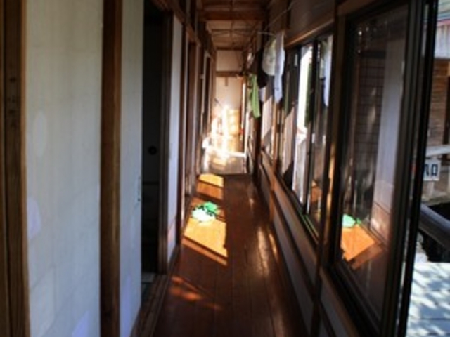 �O�l��������