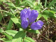 kumi-pȋÔRւ̓eʐ^1