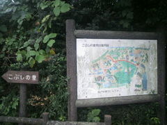 �����}�[����̒|�ԑ򂱂Ԃ��̗��ւ̓��e�ʐ^1