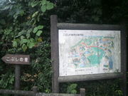 }[̒|ԑ򂱂Ԃ̗̓eʐ^1