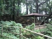 }[̒|ԑ򂱂Ԃ̗̓eʐ^1