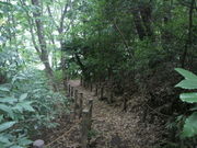 }[̒|ԑ򂱂Ԃ̗̓eʐ^1