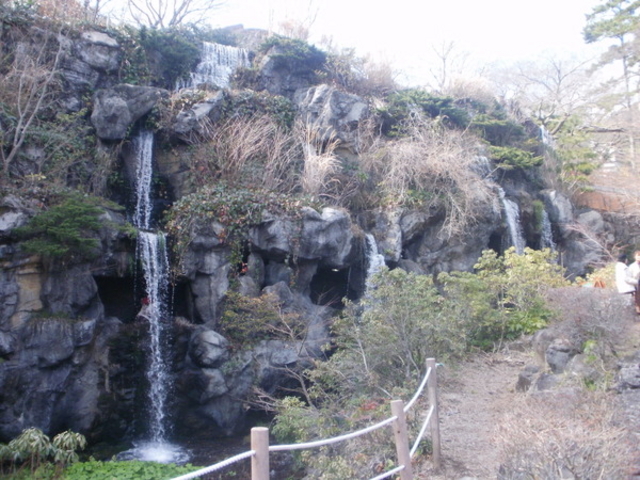 �M�C�~�������쐴��