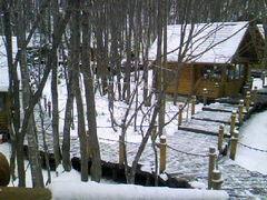 񂳂̃VbsO[hujOeXvւ̓eʐ^1