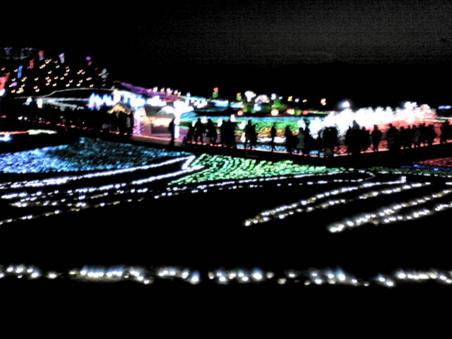 �����h�C�c��