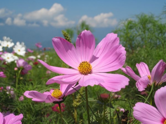 �n�C�W�̑��@�N������