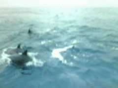 ܂̓쓇CJEHb`Oւ̓eʐ^1