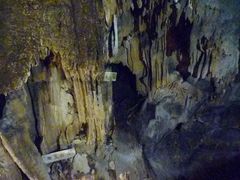 ɂႨ̕s񓴂ւ̓eʐ^1