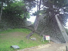 しょうちゃんさんの久留米城跡（篠山城）の投稿写真1