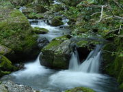 Ȃׂ񂳂̐_̑̓eʐ^1