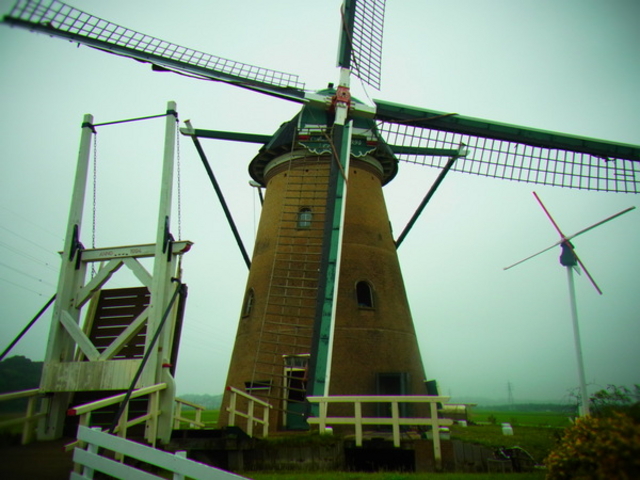 �I�����_���ԃ��[�t�f