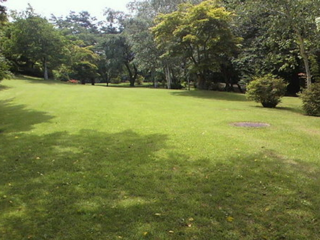 �x�m�r���[�z�e��