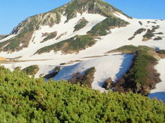 ܂̗RAy[gyxRzւ̓eʐ^1