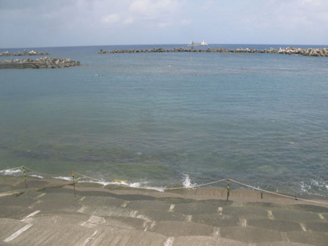 ��y�C������