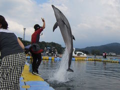 񂳂̓{htBZ^[ւ̓eʐ^1