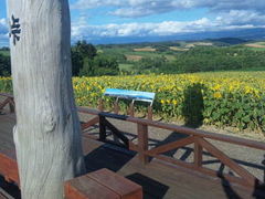 ۂ̐[RA[gp[Nւ̓eʐ^1