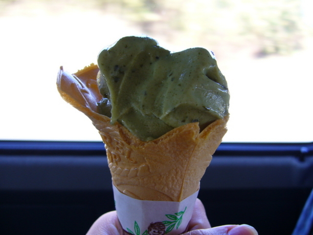 ���������̗��p��