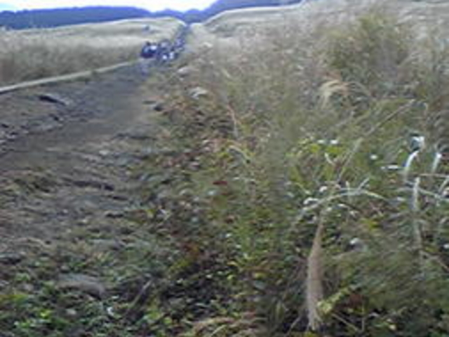 ��Ό�����