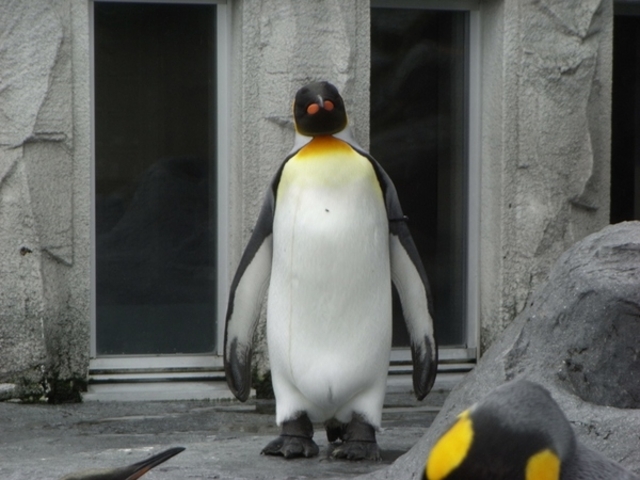 ���R������