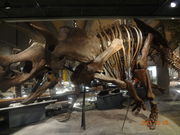 Ձ[Ձ[̌QnRjق̓eʐ^1