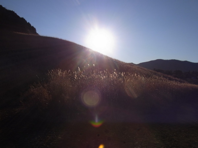 ��Ό�����