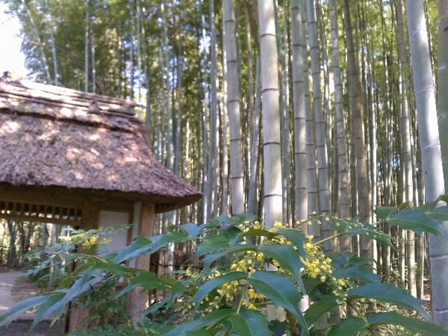 �Ƃ��H�[�J�t�F