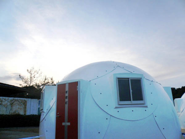 �W�H���V�R����@�Ԃ̓�