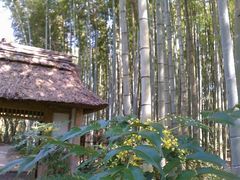 �������ク����̂Ƃ��H�[�J�t�F�ւ̓��e�ʐ^1