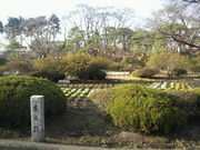 傤񂳂̏c隬̓eʐ^1