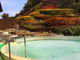 ジャコさんの淡路島天然温泉　花の湯の投稿写真1