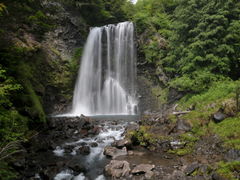 Xvw̑PܘY̑ւ̓eʐ^1