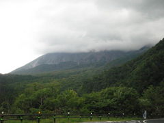 񂿂񂳂̑Rւ̓eʐ^1