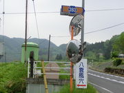 ܂񁙂񂳂̔_̓eʐ^1