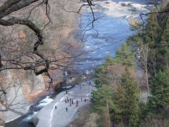 �����̑�̎ʐ^1