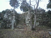 傤񂳂̈{隬isj̓eʐ^1