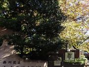 N[̑XLˈՒ뉀̓eʐ^1