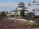 Markさんの掛川城の投稿写真1