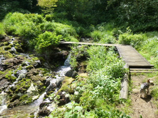 �`���c�{�~�S�P����