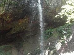 じゅんさんの白玉の滝の投稿写真1
