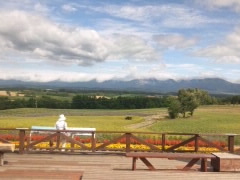 とよっちさんの深山峠展望台への投稿写真1