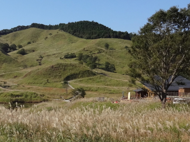 �Ƃ݂̂ˎ��R�𗬊�