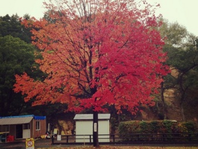 ���̉w���΂��˂���